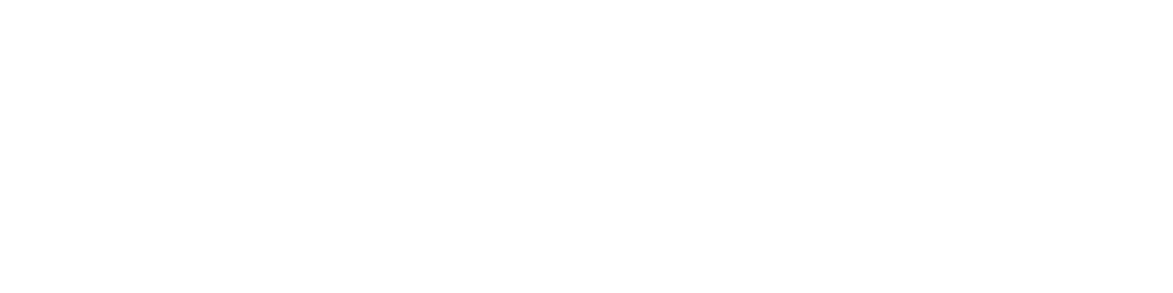 Bigfix Ecare Logo